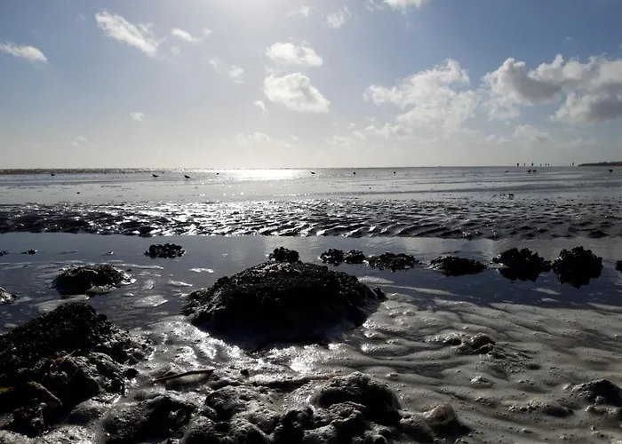 Watt'n Idyll Apartamento Büsum